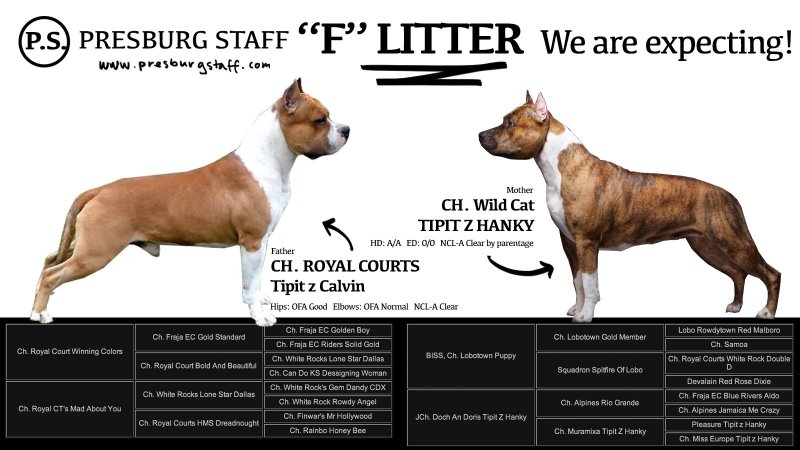 Litter F Presburg Staff