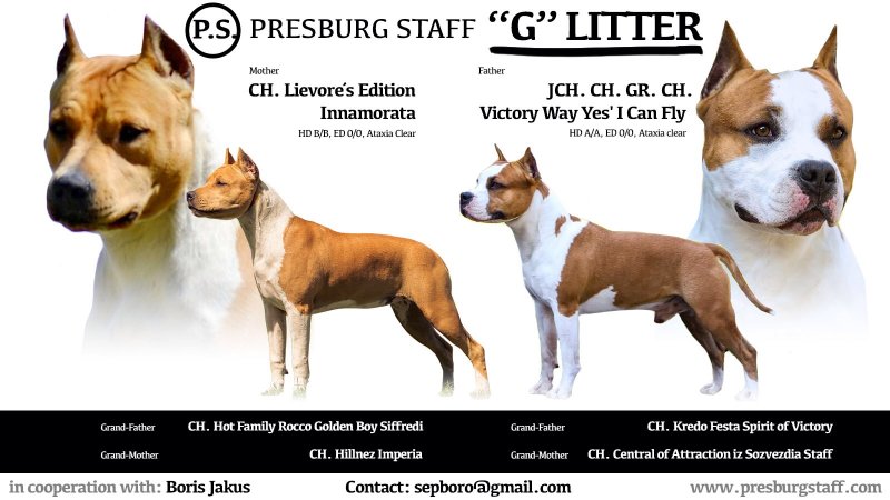 Litter G Presburg Staff